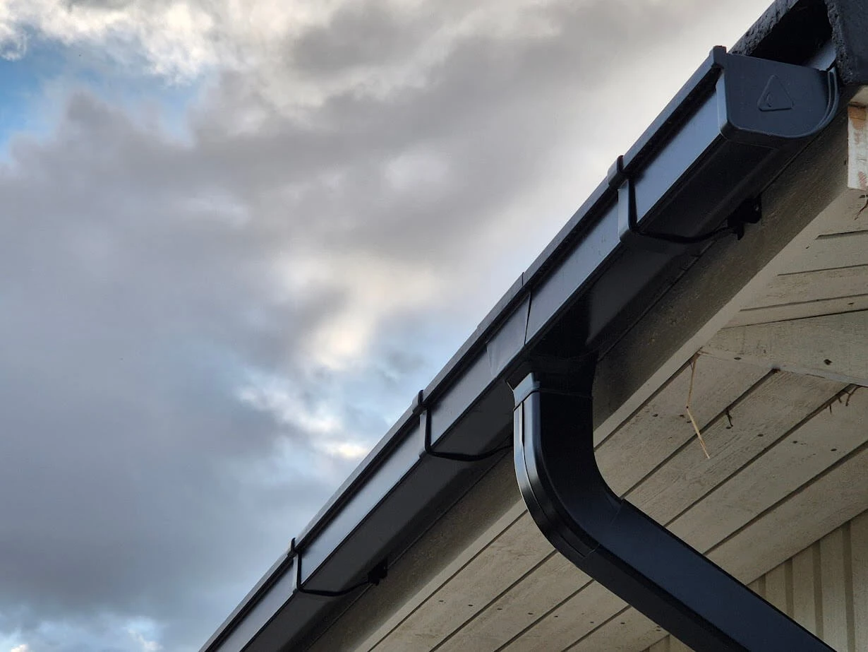 Vihmaveetoru ja renn